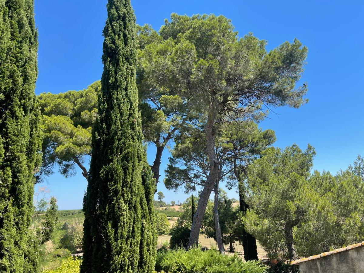 Domaine De Beaumont Villa Agde Exterior photo